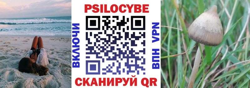 Галлюциногенные грибы мицелий  Купить где  Бутурлиновка 
